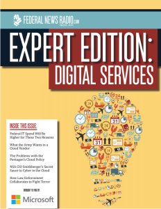 Digital Services eBook cover