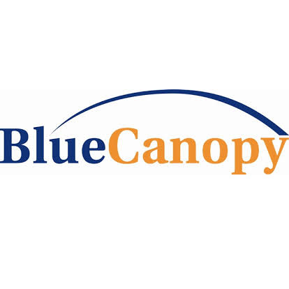 Blue Canopy Group 36